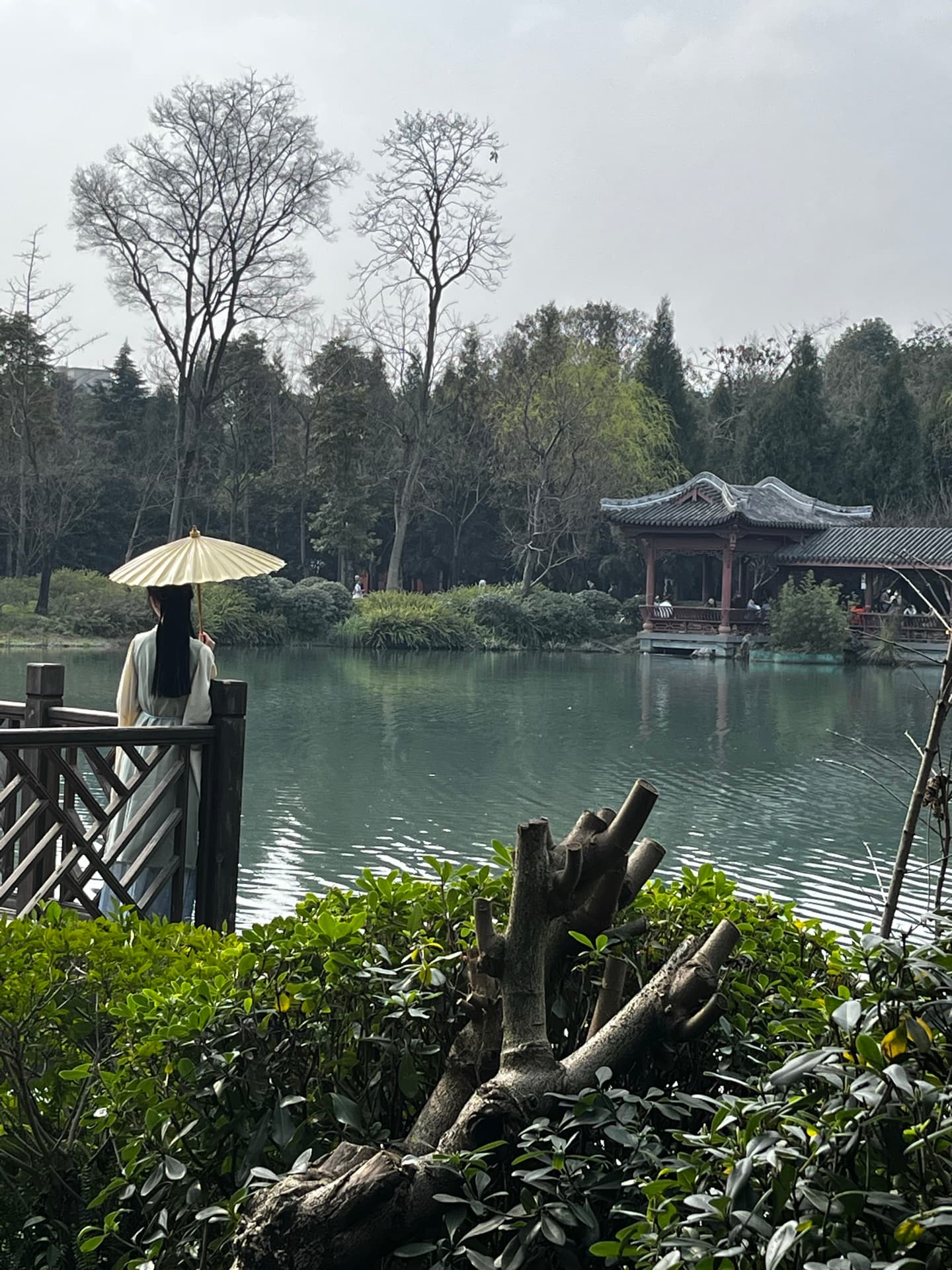 A person holding a parasol beside a pond and pavilion
