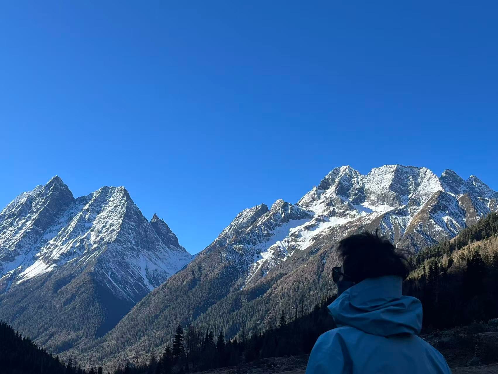 A person in a blue jacket looking toward snow-covered mountains
