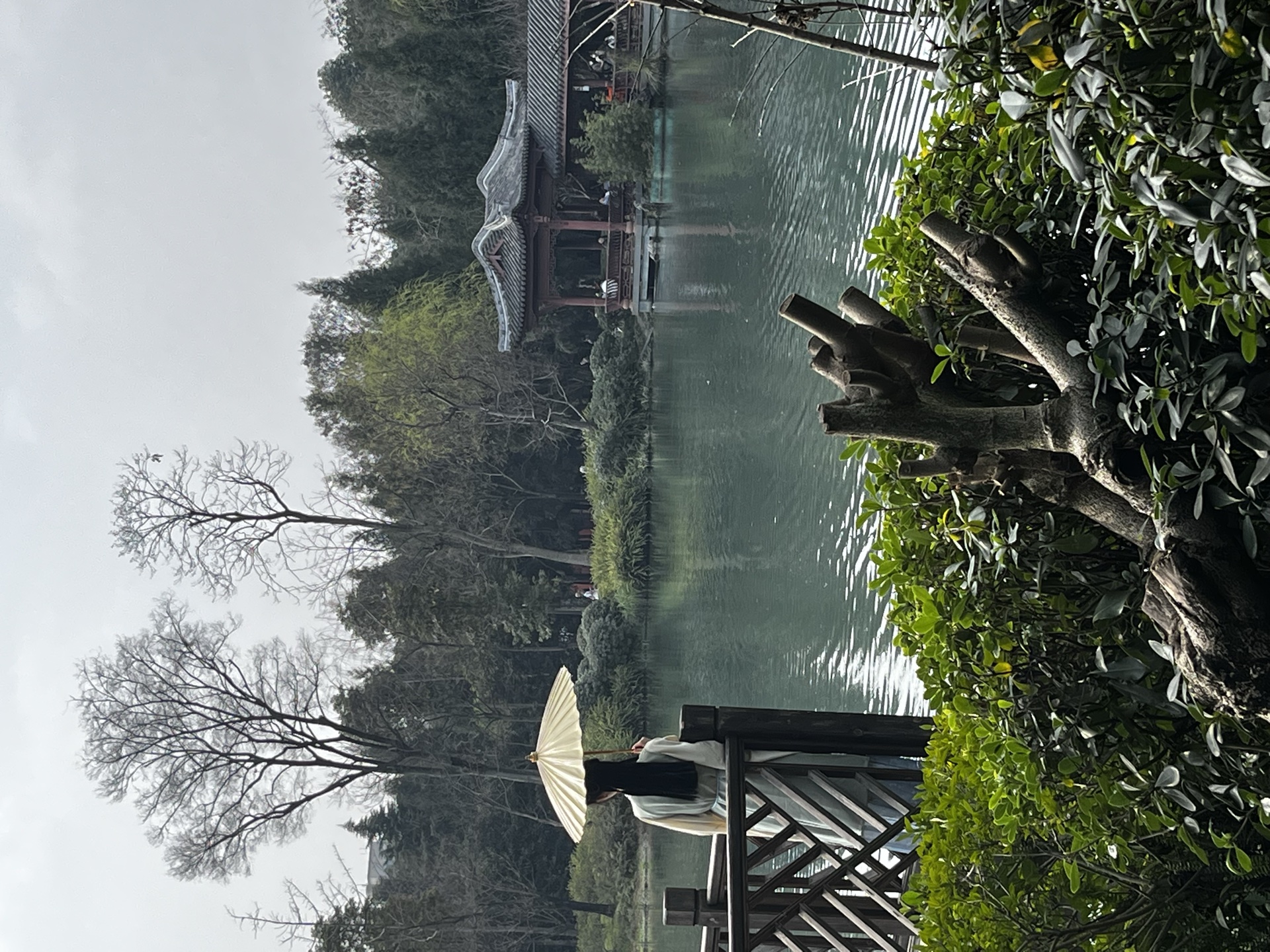 A person holding a parasol beside a pond and pavilion